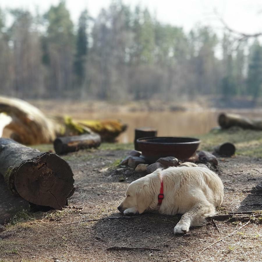 Camping Jaunzageri Inciems Экстерьер фото